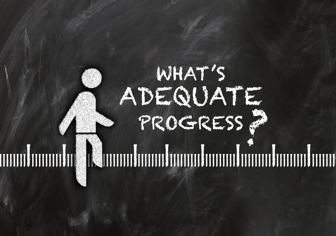 Demonstrating adequate progress in students with severe disabilities