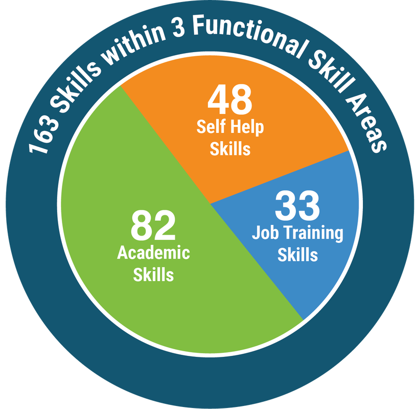 163 Functional Skills