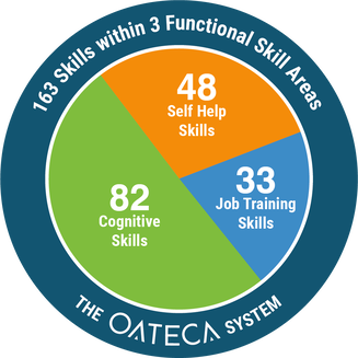 163 skills within 3 functional skills areas